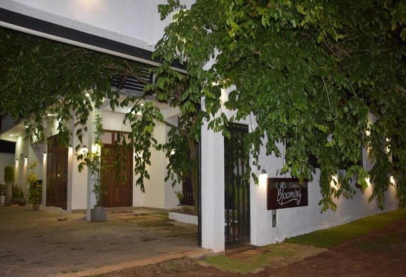 ユースホステル Blooming