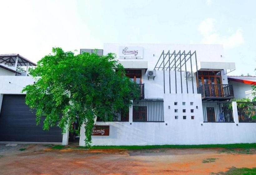 ユースホステル Blooming