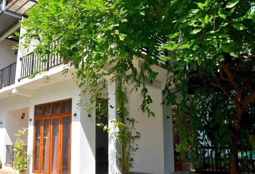 ユースホステル Blooming