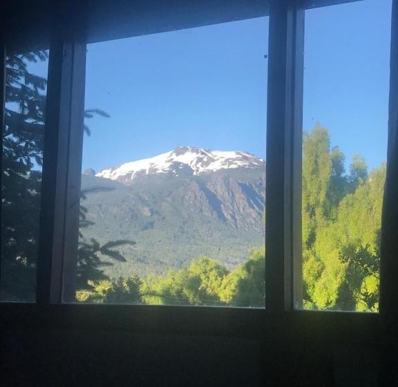 ベッドアンドブレックファースト Hostel, Lo De Flora Pura Vida