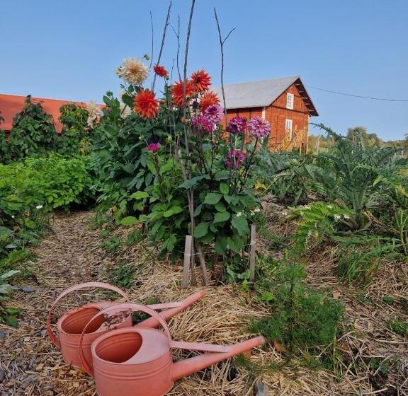 مبيت وإفطار Långbro Gård I Mölnbo