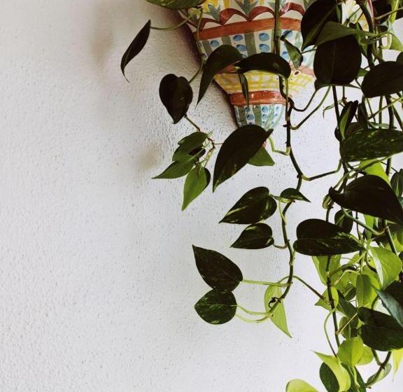 مبيت وإفطار Magnolia Llc Short Term Rentals Private Room On The Second Floor