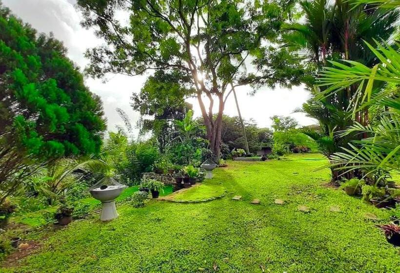 민박 Villa Du Ciel   Galle