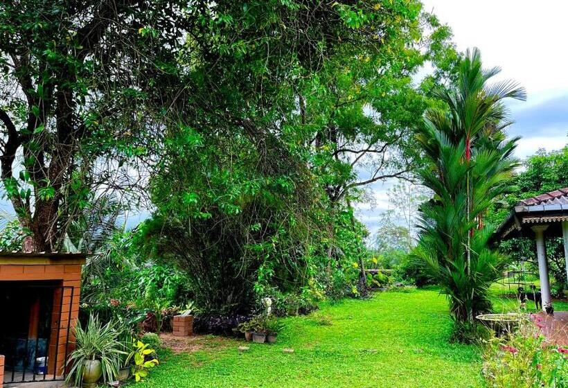 민박 Villa Du Ciel   Galle