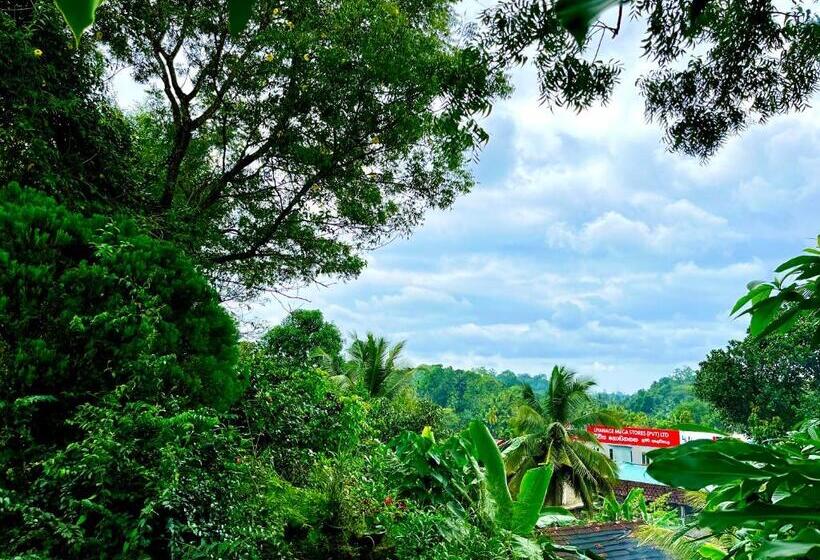 민박 Villa Du Ciel   Galle