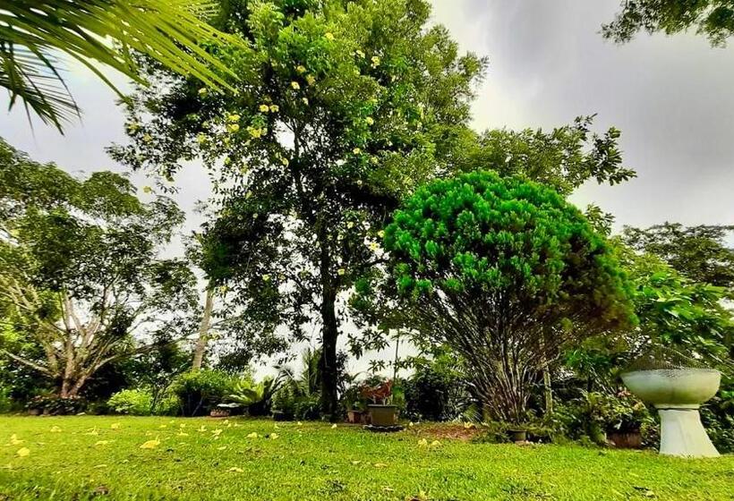 민박 Villa Du Ciel   Galle