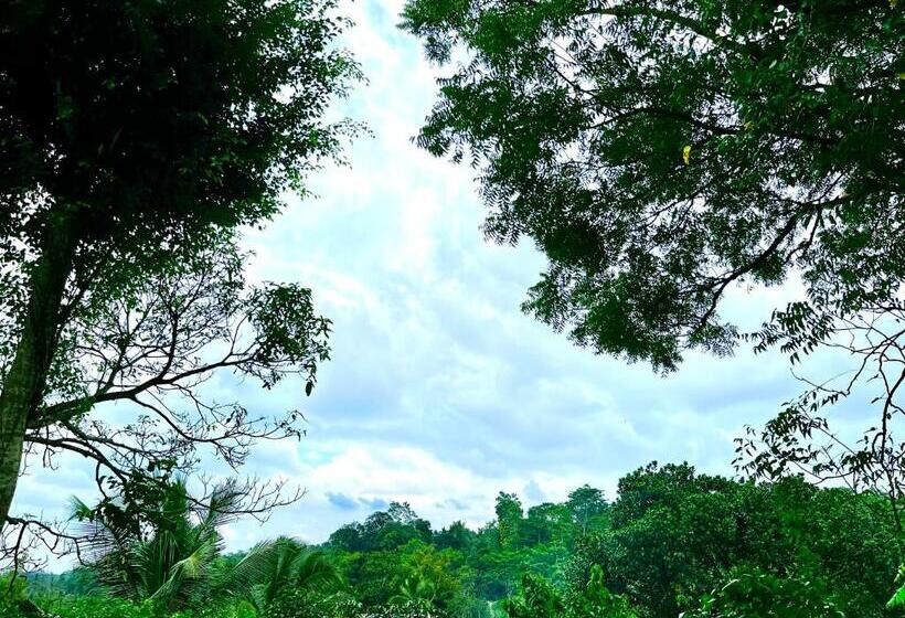 민박 Villa Du Ciel   Galle