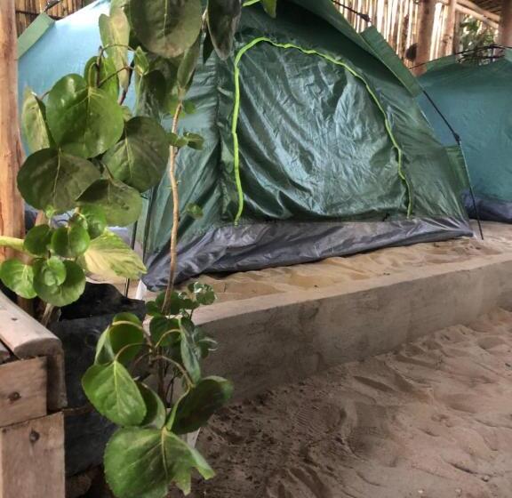 تختخواب و صبحانه Jenna S Beach House