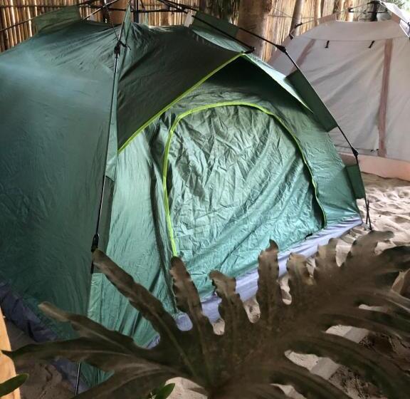 تختخواب و صبحانه Jenna S Beach House