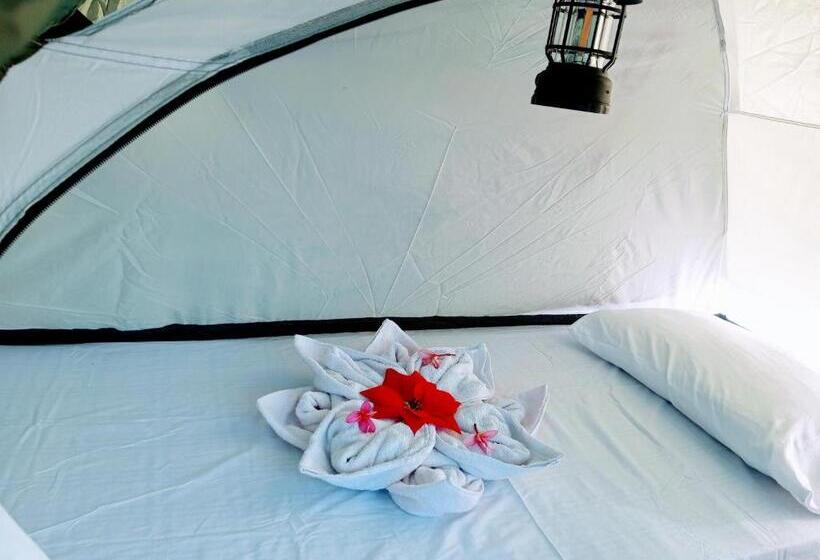 تختخواب و صبحانه Jenna S Beach House