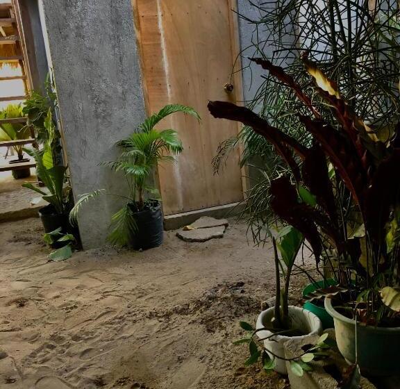 تختخواب و صبحانه Jenna S Beach House