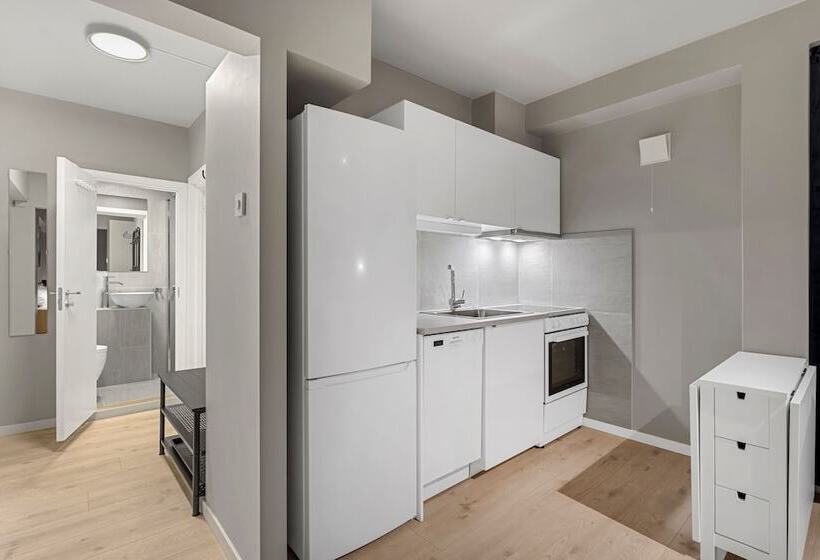 Bispegata 5   Studio Apartment