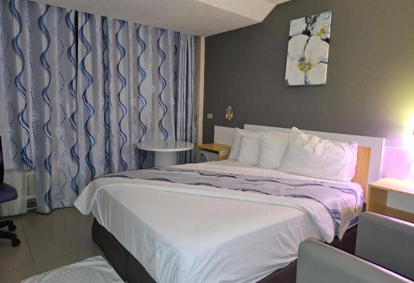 Golden Tree Hotel Belize