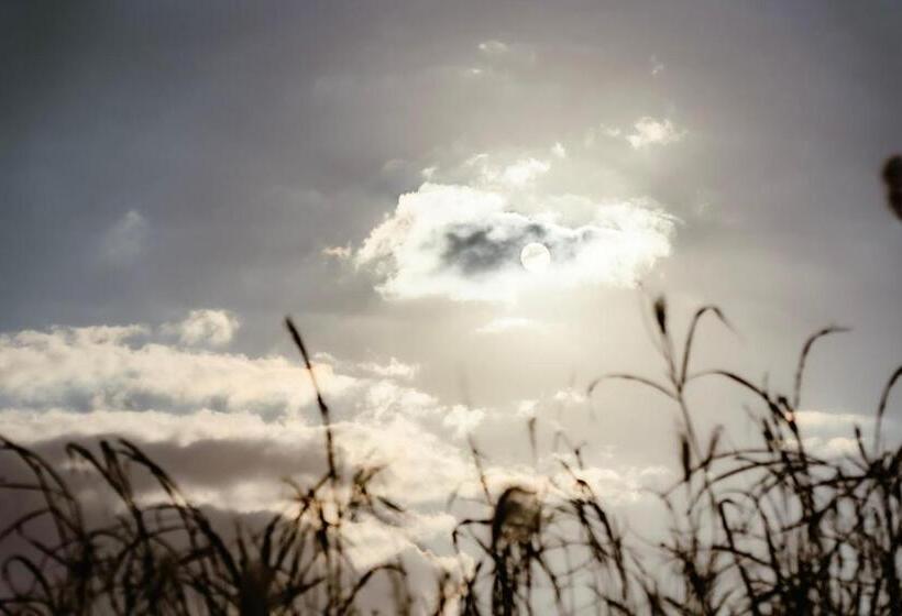 Green House  非対面ﾁｪｯｸｲﾝcontactless Bed & Breakfast