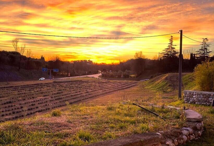 酒店 Agriturismo Al Mancino