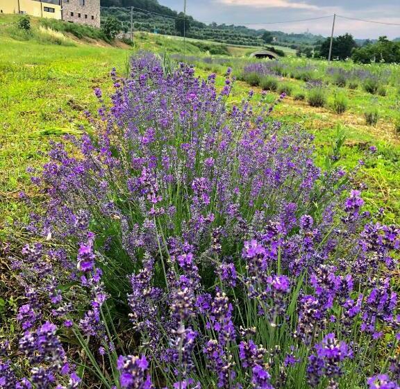 酒店 Agriturismo Al Mancino
