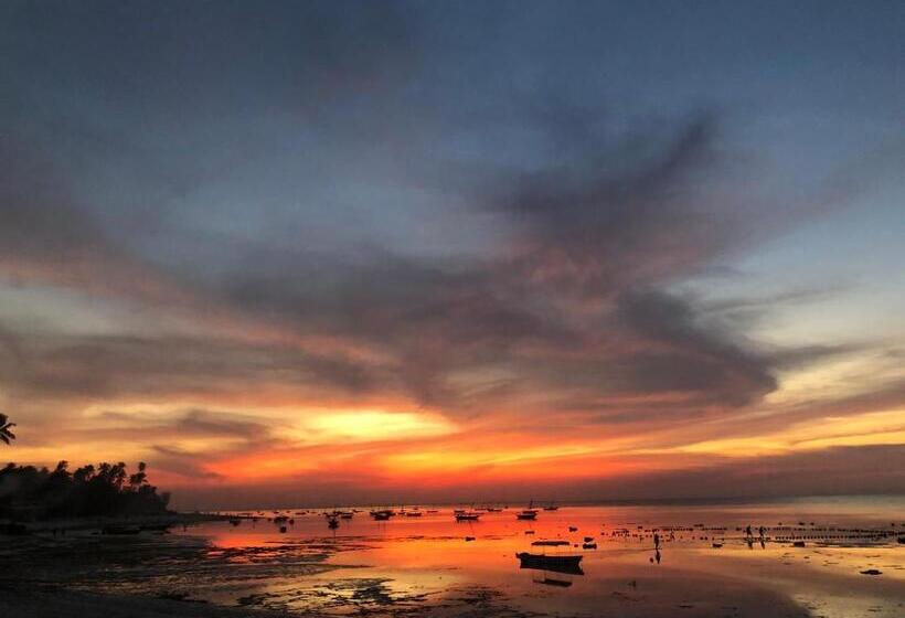 בית מלון כפרי Aluna Beach Apartments