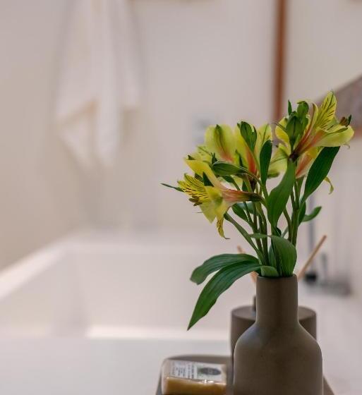 酒店 Boutique Vila São João