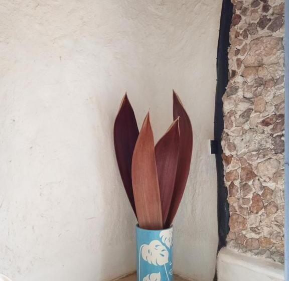 هتل Y Museo Aldea Maya Toktli Orígenes Suite Casa Maya Del Jabín Alberca, Wifi Starlink, Tour Museo