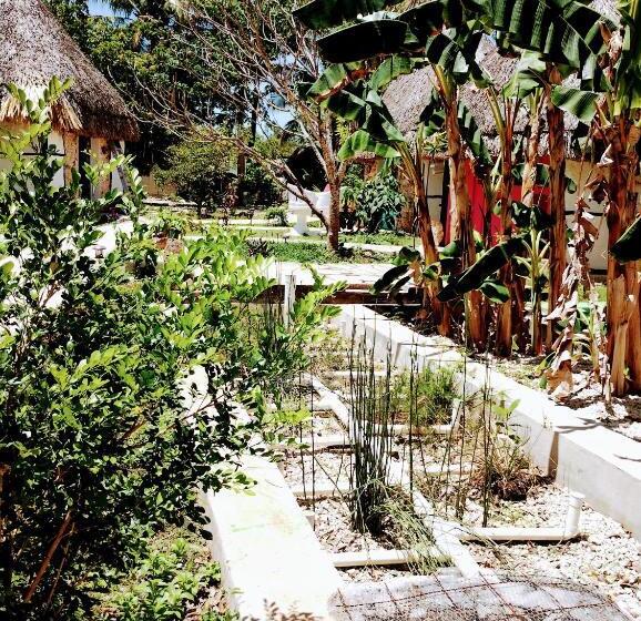 هتل Y Museo Aldea Maya Toktli Orígenes Suite Casa Maya Del Jabín Alberca, Wifi Starlink, Tour Museo