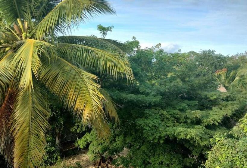 هتل Y Museo Aldea Maya Toktli Orígenes Suite Casa Maya Del Jabín Alberca, Wifi Starlink, Tour Museo