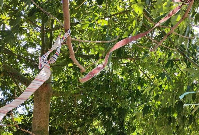 هتل Y Museo Aldea Maya Toktli Orígenes Suite Casa Maya Del Jabín Alberca, Wifi Starlink, Tour Museo