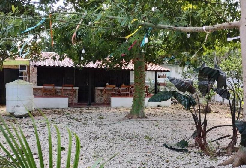 هتل Y Museo Aldea Maya Toktli Orígenes Suite Casa Maya Del Jabín Alberca, Wifi Starlink, Tour Museo