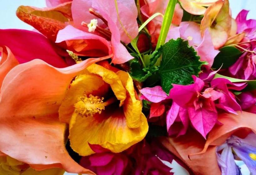 هتل Y Museo Aldea Maya Toktli Orígenes Suite Casa Maya Del Jabín Alberca, Wifi Starlink, Tour Museo