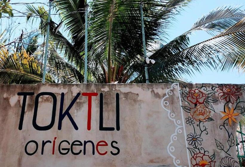 בית מלון כפרי Y Museo Aldea Maya Toktli Orígenes   Casa Maya Del Toloque Coronado   Alberca, Wifi Starlink, Tour M