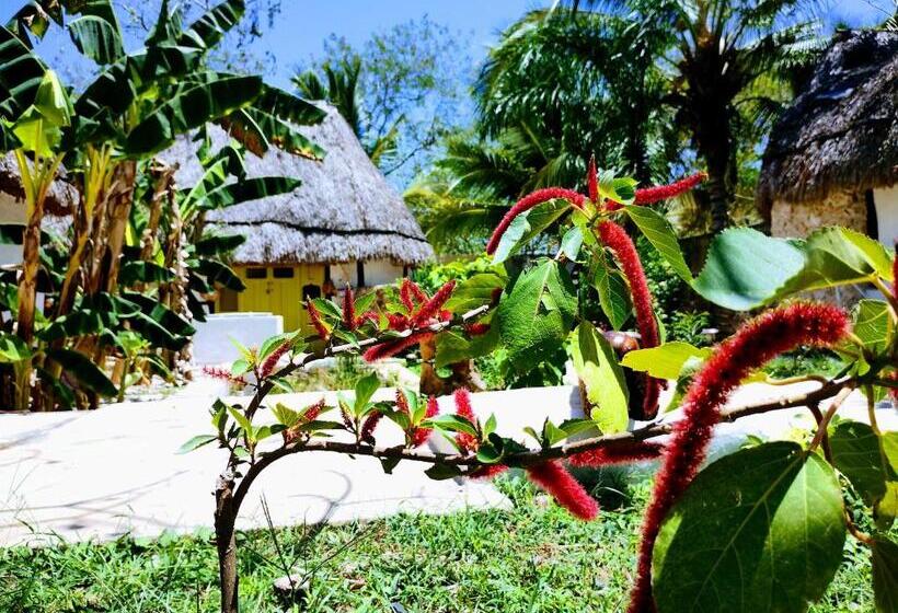 בית מלון כפרי Y Museo Aldea Maya Toktli Orígenes   Casa Maya Del Toloque Coronado   Alberca, Wifi Starlink, Tour M