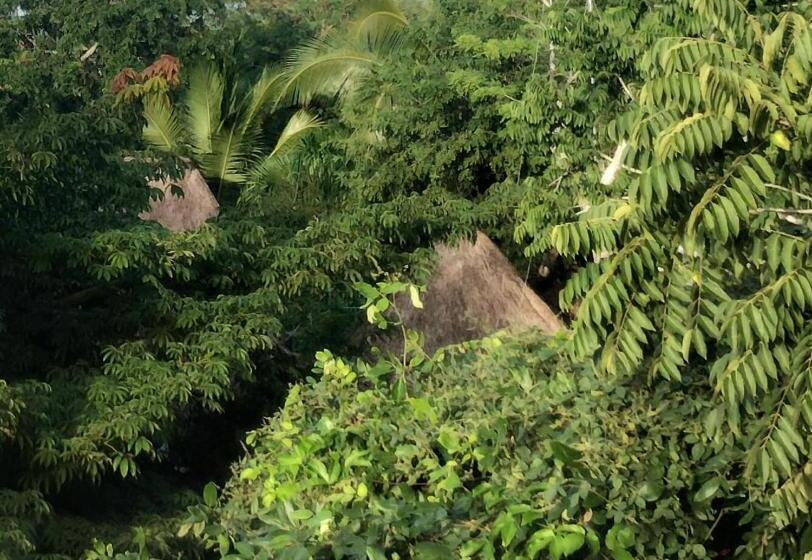 בית מלון כפרי Y Museo Aldea Maya Toktli Orígenes   Casa Maya Del Toloque Coronado   Alberca, Wifi Starlink, Tour M