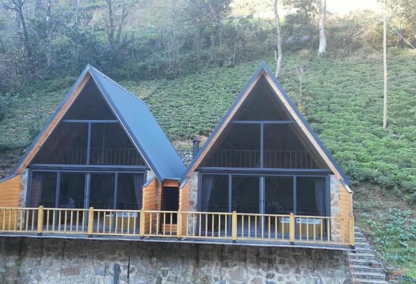 酒店 Golden Rose Bungalov