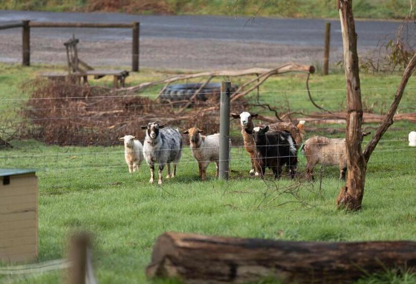 בית מלון כפרי Hideaway Farmlet Romantic Cottage With Miniature Goats