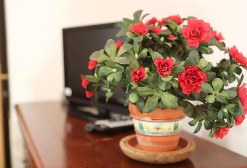 호텔 Il Gelso Di Francesco N1