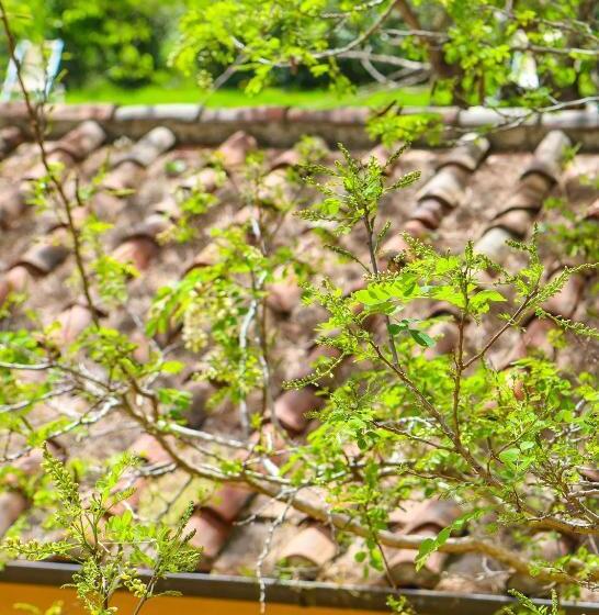 ホテル Il Gelso Di Francesco N6