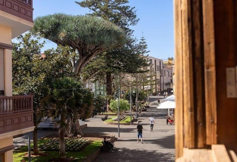 Отель Emblemático La Casa De La Camelia