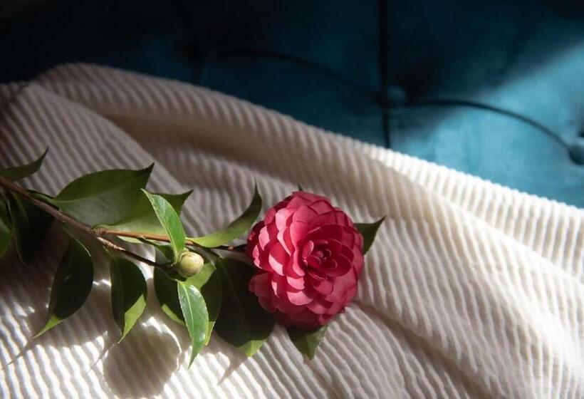 Отель Emblemático La Casa De La Camelia