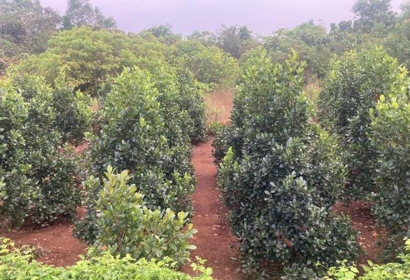 Отель Mo’s Agro