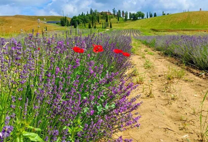 호텔 Tenuta D Arbia, Siena