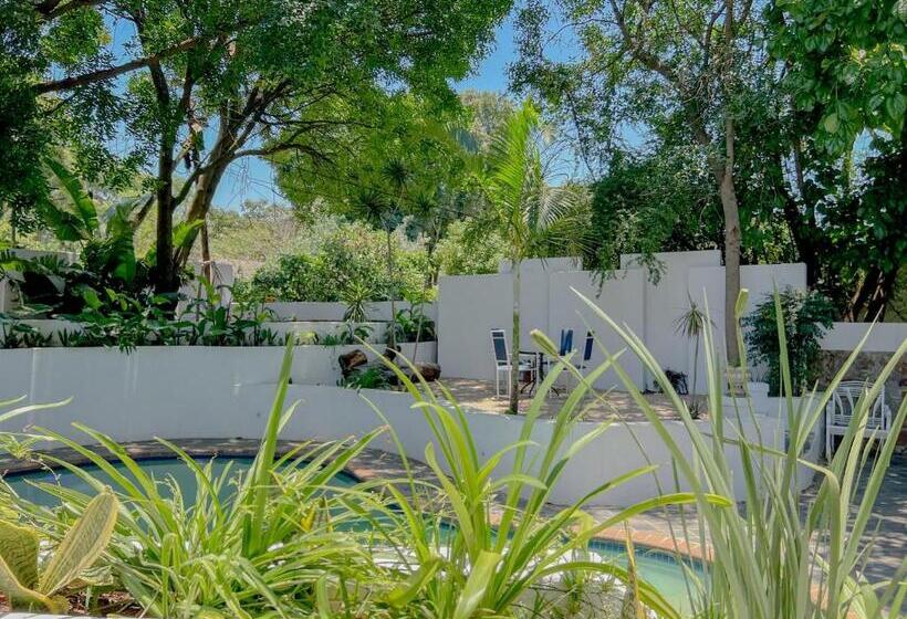 פנסיון Amoris Guesthouse   In Brooklyn