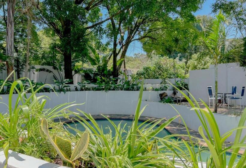 פנסיון Amoris Guesthouse   In Brooklyn