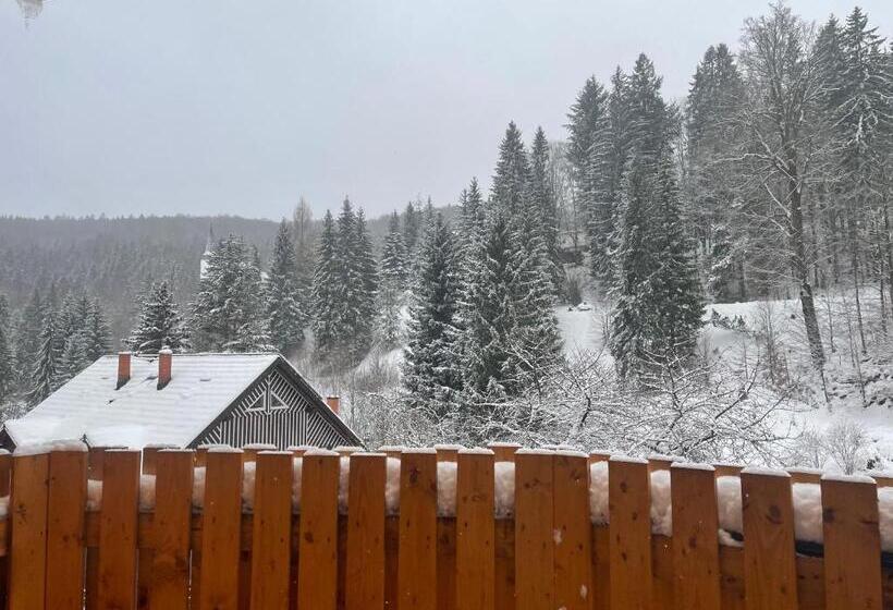 ペンション Apartmány Svatý Mikuláš