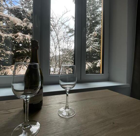 پانسیون Apartmány Svatý Mikuláš