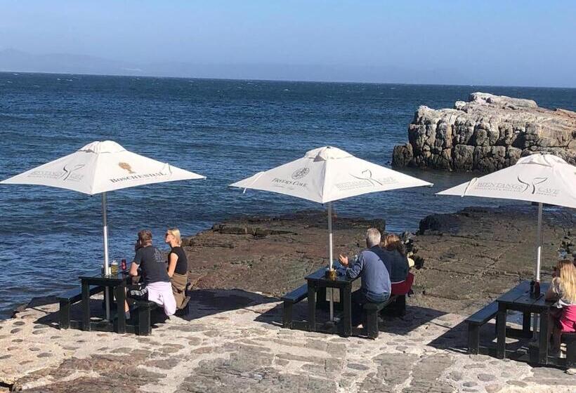 بنسيون Joie De Vivre   22 Rocklands