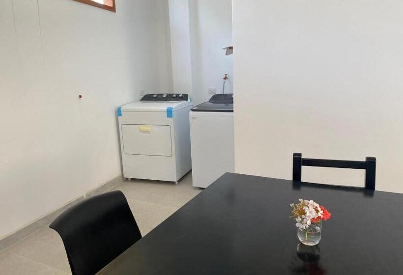 פנסיון Penguin House