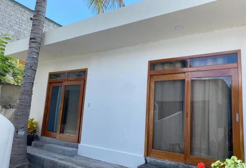 פנסיון Penguin House