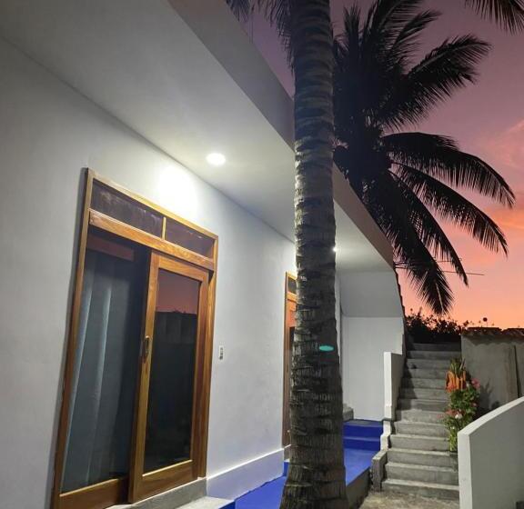 פנסיון Penguin House