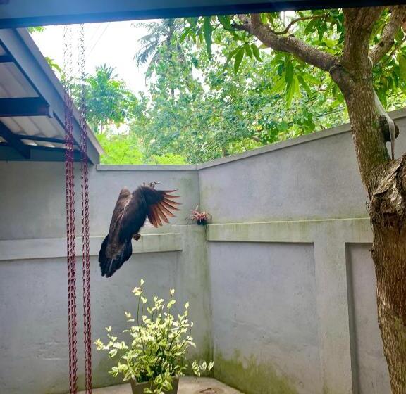 بنسيون Samadhi Garden