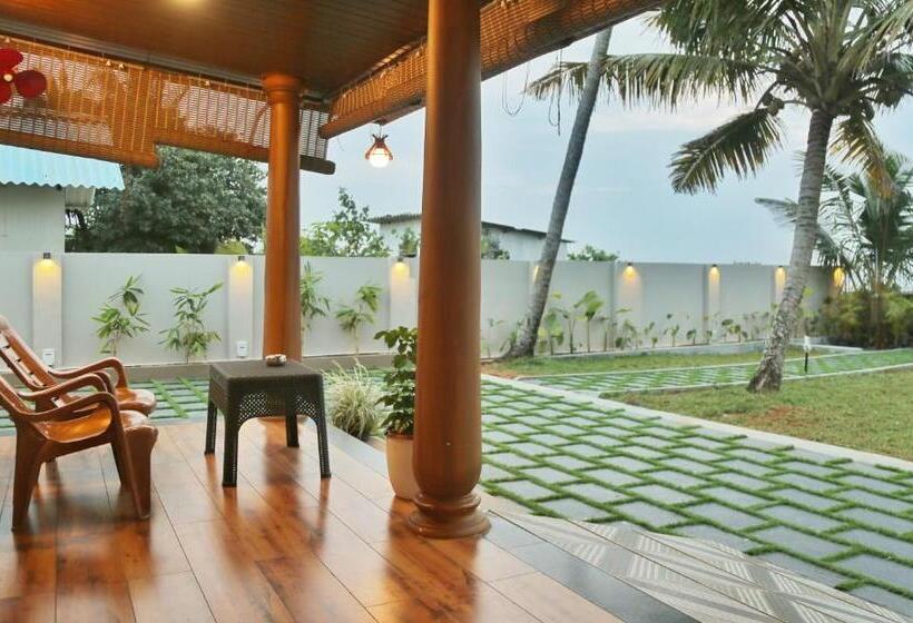 Pensione Shore Stories