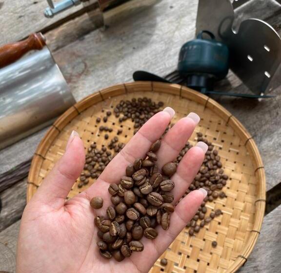 פנסיון Simple Life Bungalows